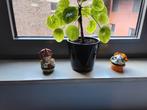 Miniatuur potjes VILLEROY EN BOCH, Antiek en Kunst, Ophalen