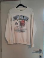 Sweater hollister, Ophalen of Verzenden, Zo goed als nieuw
