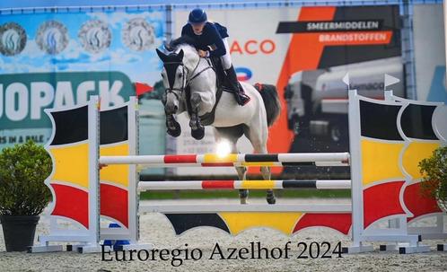 Ruiter aangeboden, Dieren en Toebehoren, Pony's, Zadelmak