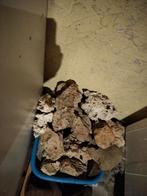 Aquariumstenen, Dieren en Toebehoren