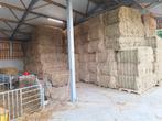 Hooi en stro te koop, Dieren en Toebehoren, Ophalen