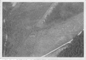 5 photos orig. - Luftwaffe - WW2, Envoi, Armée de l'air, Photo ou Poster