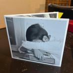 Metz Cd - V611, Cd's en Dvd's, Cd's | Rock, Ophalen of Verzenden, Zo goed als nieuw, Alternative