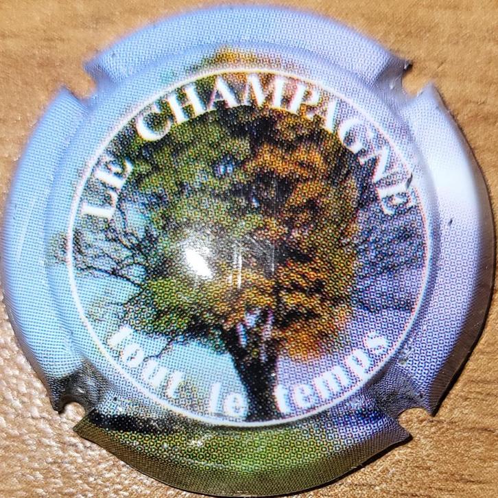 Capsule Champagne de VIGNERONS Série Champagne nr.795c, Collections, Vins, Neuf, Champagne, France, Enlèvement ou Envoi