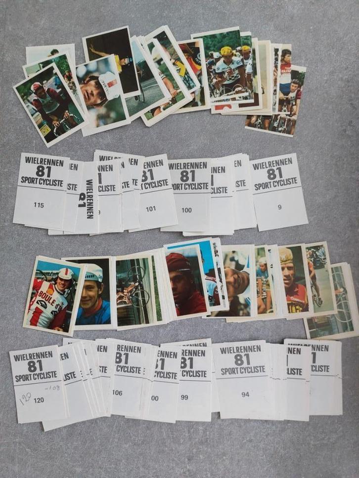 Prenten Wielrennen/Sport cyclisme 81, Collections, Articles de Sport & Football, Neuf, Affiche, Image ou Autocollant, Enlèvement ou Envoi