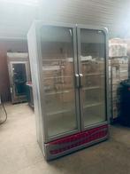 Te koop: professionele, Ophalen of Verzenden, Koelen en Vriezen