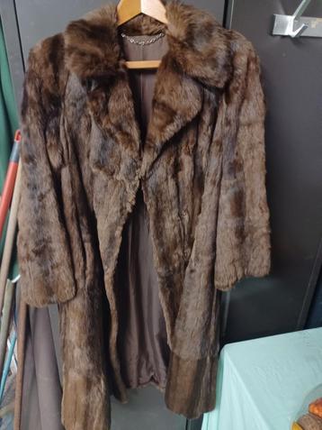 Bontjas nerts, Kleding | Dames, Jassen | Winter, Ophalen, Gedragen, Maat 38/40 (M)