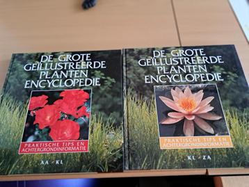 De grote geïllustreerde plantenencyclopedie  beschikbaar voor biedingen