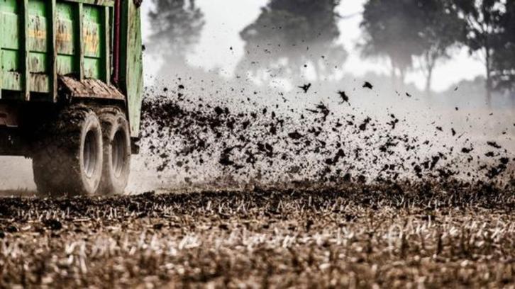 Zoek ner's rundvee regio  Vlaanderen, Dieren en Toebehoren, Runderen, Geslacht onbekend