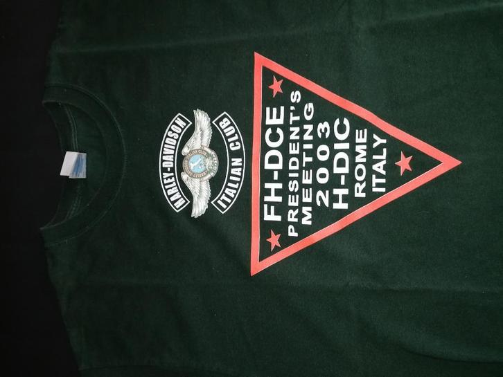 Uniek HARLEY-DAVIDSON T-shirt, Kleding | Heren, T-shirts, Zo goed als nieuw, Maat 52/54 (L), Zwart, Ophalen of Verzenden