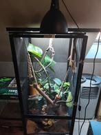 Volledig flexarium te koop..., Dieren en Toebehoren, Reptielen en Amfibieën | Toebehoren, Ophalen, Zo goed als nieuw