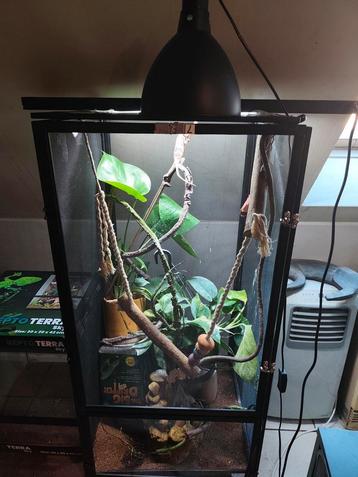 Volledig flexarium te koop... beschikbaar voor biedingen