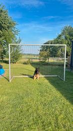 voedbal goal, Ophalen, Nieuw, Bal