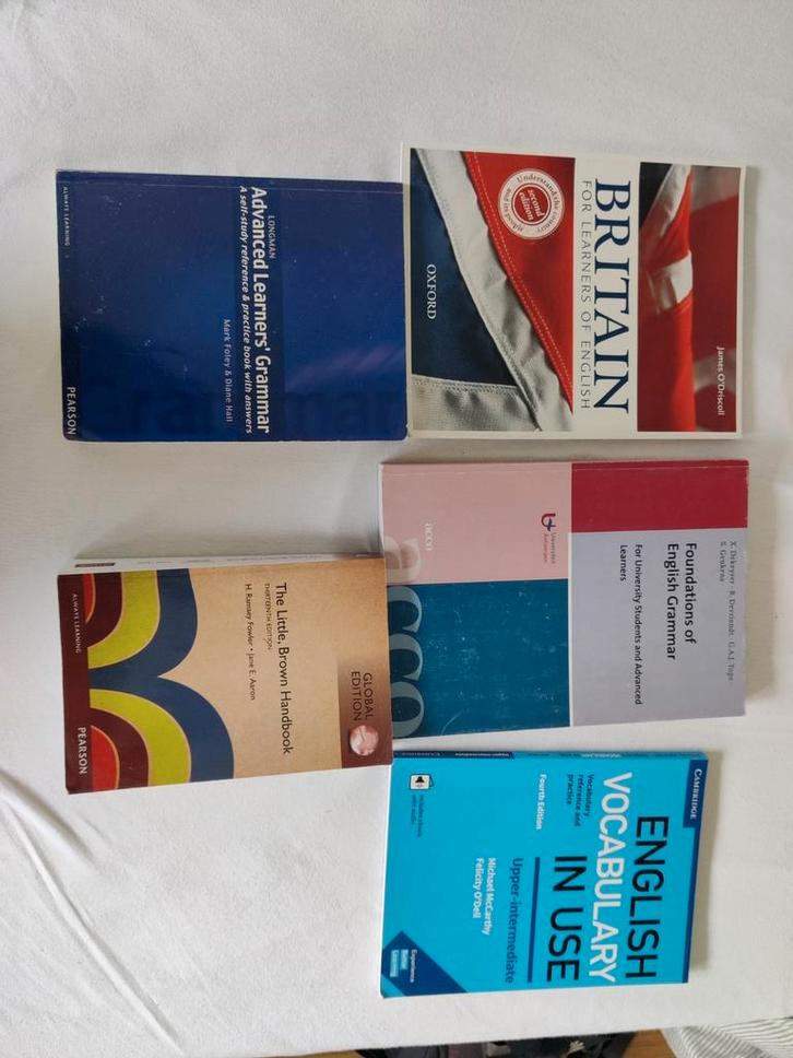 Engels taalkunde - Taalbeheersing - Taal & Cultuur, Boeken, Taal | Engels, Zo goed als nieuw, Non-fictie, Ophalen of Verzenden