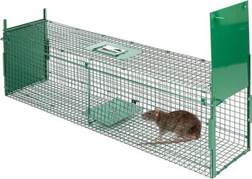 Rattenval Vangkooi voor dieren van 100x25x28cm, Jardin & Terrasse, Pesticides, Neuf, Lutte antiparasitaire, Enlèvement