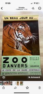 Vintage affiche Zoo Antwerpen – Tijger – jaren ’60 – origine, Verzamelen, Ophalen, Nieuw, Overige typen