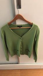 Cardigan Terre Bleue maat 38 fris groen, Maat 38/40 (M), Gedragen, Groen, "" TERRE BLEUE ""