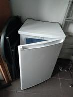 ijskast PROLINE TTZ97, Electroménager, Congélateurs, Enlèvement, Utilisé, Autoportant, Congélateur