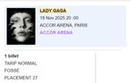 Lady Gaga Concert Paris, Tickets en Kaartjes, Eén persoon, November