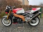 Aprilia rsv1000 Tuono factory Moto, Motos, Entreprise, Autre