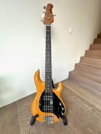 MUSIC MAN Stingray special 5 HH, Muziek en Instrumenten, Snaarinstrumenten | Gitaren | Bas, Ophalen, Zo goed als nieuw, Elektrisch