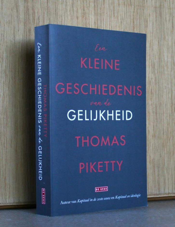 Piketty: Een kleine geschiedenis van gelijkheid., Boeken, Geschiedenis | Wereld, Zo goed als nieuw, Ophalen of Verzenden