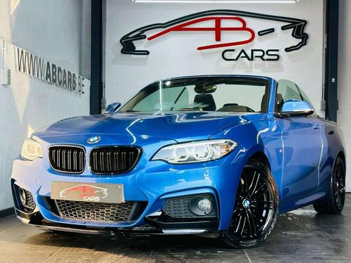 BMW 2 Serie 218 D * PACK M PERFORMANCE * GAR 12 MOIS * CABRI, Autos, BMW, Entreprise, Achat, Série 2, ABS, Airbags, Air conditionné