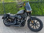 Harley davidson Iron 1200, 2 cilinders, Chopper, Bedrijf, Meer dan 35 kW