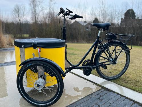 NIHOLA Extra Low Elektrische Driewieler, Fietsen en Brommers, Fietsen | Driewielfietsen, Zo goed als nieuw, Ophalen