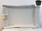 HEMELBEKLEDING Renault Clio V (RJAB) (|739106065R|), Auto-onderdelen, Gebruikt, Renault