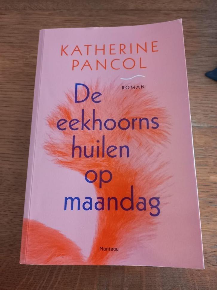 Boek: De eekhoorns huilen op maandag - Katherine Pancol, Boeken, Romans, Gelezen, Ophalen of Verzenden