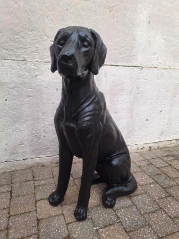 Beeld hond beschikbaar voor biedingen