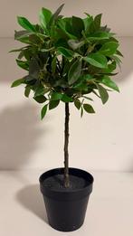Ficus Kunstplant 42 cm Hoog (4 stuks aanwezig), Huis en Inrichting, Woonaccessoires | Kunstplanten en Kunstbloemen, Ophalen of Verzenden