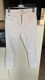 Witte skinnybroek maat 33/32 Tommy hilfinger, Kleding | Dames, Ophalen, Tommy hilfiger, Wit, Overige jeansmaten