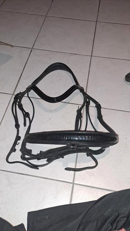 Hoofdstel, Dieren en Toebehoren, Paarden en Pony's | Hoofdstellen en Tuigage, Zo goed als nieuw, Dressuur, Ophalen of Verzenden