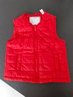 Nieuwe bodywarmer, Kinderen en Baby's, Babykleding | Maat 80, Ophalen of Verzenden, Zo goed als nieuw, Meisje