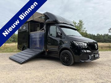 Mercedes-Benz Sprinter 317 AMG 2-paards paardenvrachtwagen B beschikbaar voor biedingen