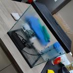 Aquarium, Dieren en Toebehoren, Vissen | Aquaria en Toebehoren, Ophalen