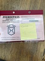 Fokmerrie, Dieren en Toebehoren, Paarden, Merrie, Springpaard, Niet van toepassing, 11 jaar of ouder