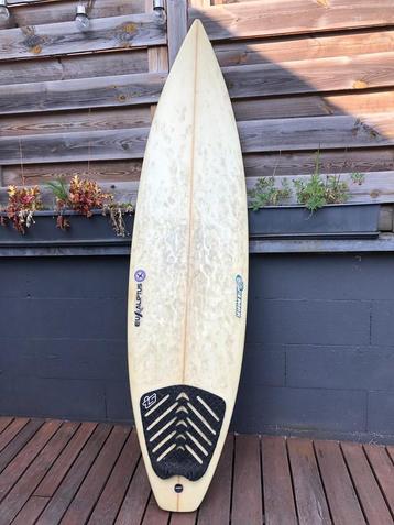 Surf Aliptus 6.2 