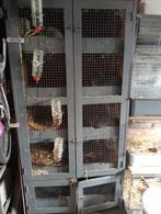 Konijnflat + 3 konijntjes er bij, Dieren en Toebehoren, Knaagdieren en Konijnen | Hokken en Kooien, Ophalen, Gebruikt, Hok