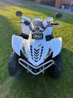 Yamaha Wolverine 350, Motoren, Quads en Trikes, 1 cilinder, 11 kW of minder