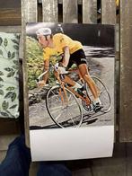 Eddy Merckx foto pancarte, Overige typen, Ophalen of Verzenden, Zo goed als nieuw, 1000 Briu