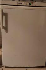 Kleine diepvries Liebherr GRATIS ophalen, Ophalen, Gebruikt, Vrijstaand, Vrieskast