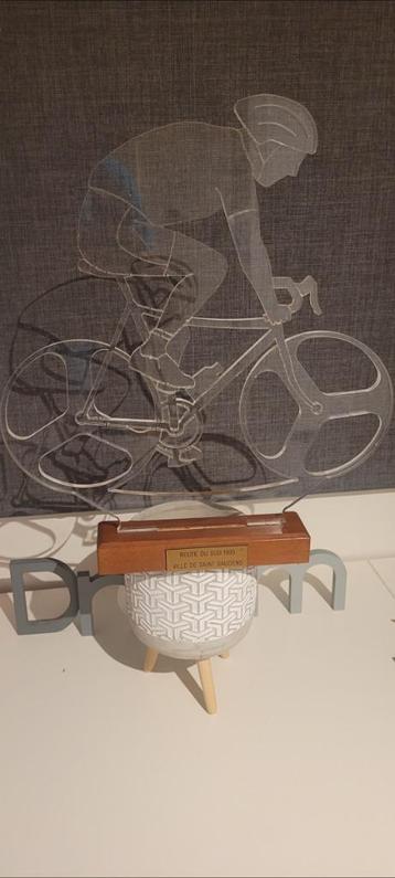 Trophée remis a Wilfried Nelissen lors de la route du sud 95 beschikbaar voor biedingen