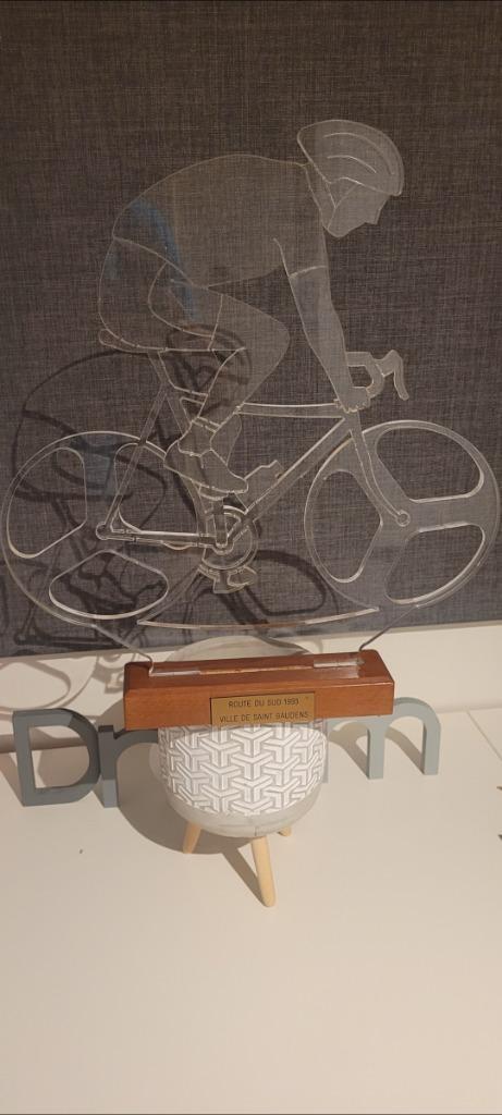 Trophée remis a Wilfried Nelissen lors de la route du sud 95, Sport en Fitness, Wielrennen, Zo goed als nieuw, Overige typen, Ophalen