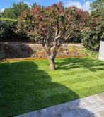 Création et entretien de jardin ️‍    ️ ‪0467 74 24 65, Tuin en Terras, Gras en Kunstgras, Ophalen of Verzenden
