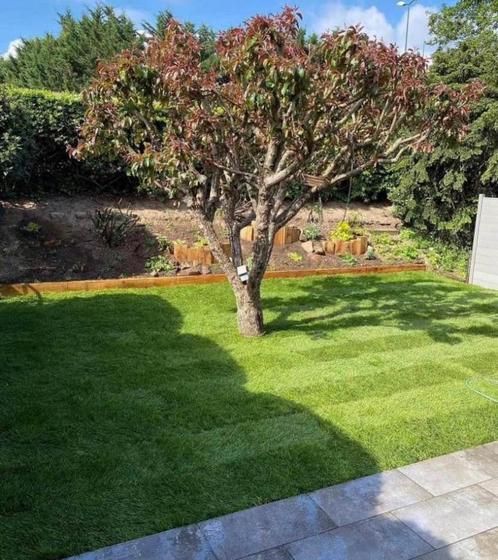 Création et entretien de jardin ️‍    ️ ‪0467 74 24 65, Tuin en Terras, Gras en Kunstgras, Ophalen of Verzenden