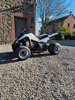 Suzuki ltz 400 homologue