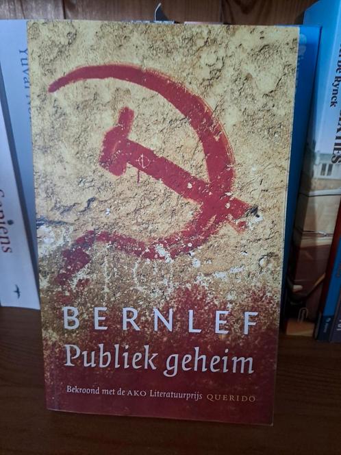 Bernlef - Publiek geheim, Livres, Littérature, Comme neuf, Enlèvement ou Envoi